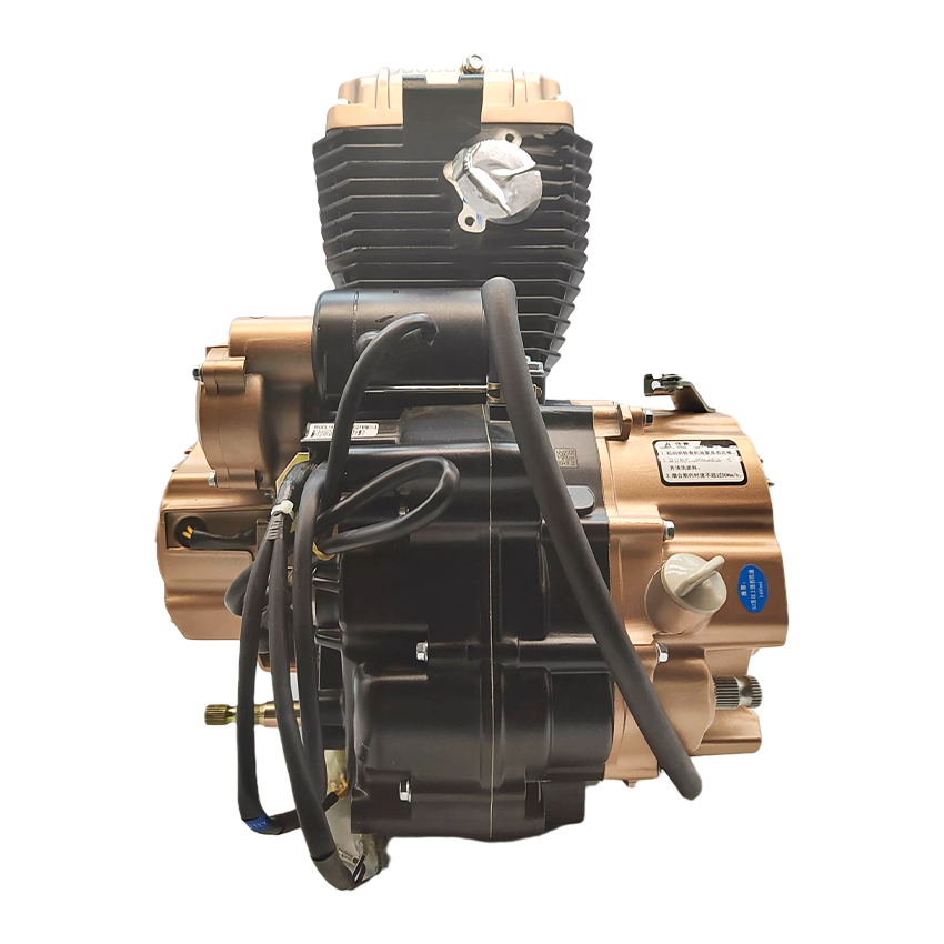 Motorcycle Parts - Zongshen CG200cc Einzylinder 5-Gang-Starthebel Luftgekühlter 4-Takt-Motor