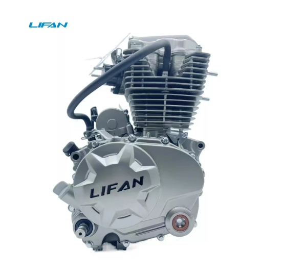 OEM Lifan Cg125 Motorrad-Motor – Motorcycle Parts Bewertung und Preis